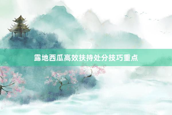露地西瓜高效扶持处分技巧重点